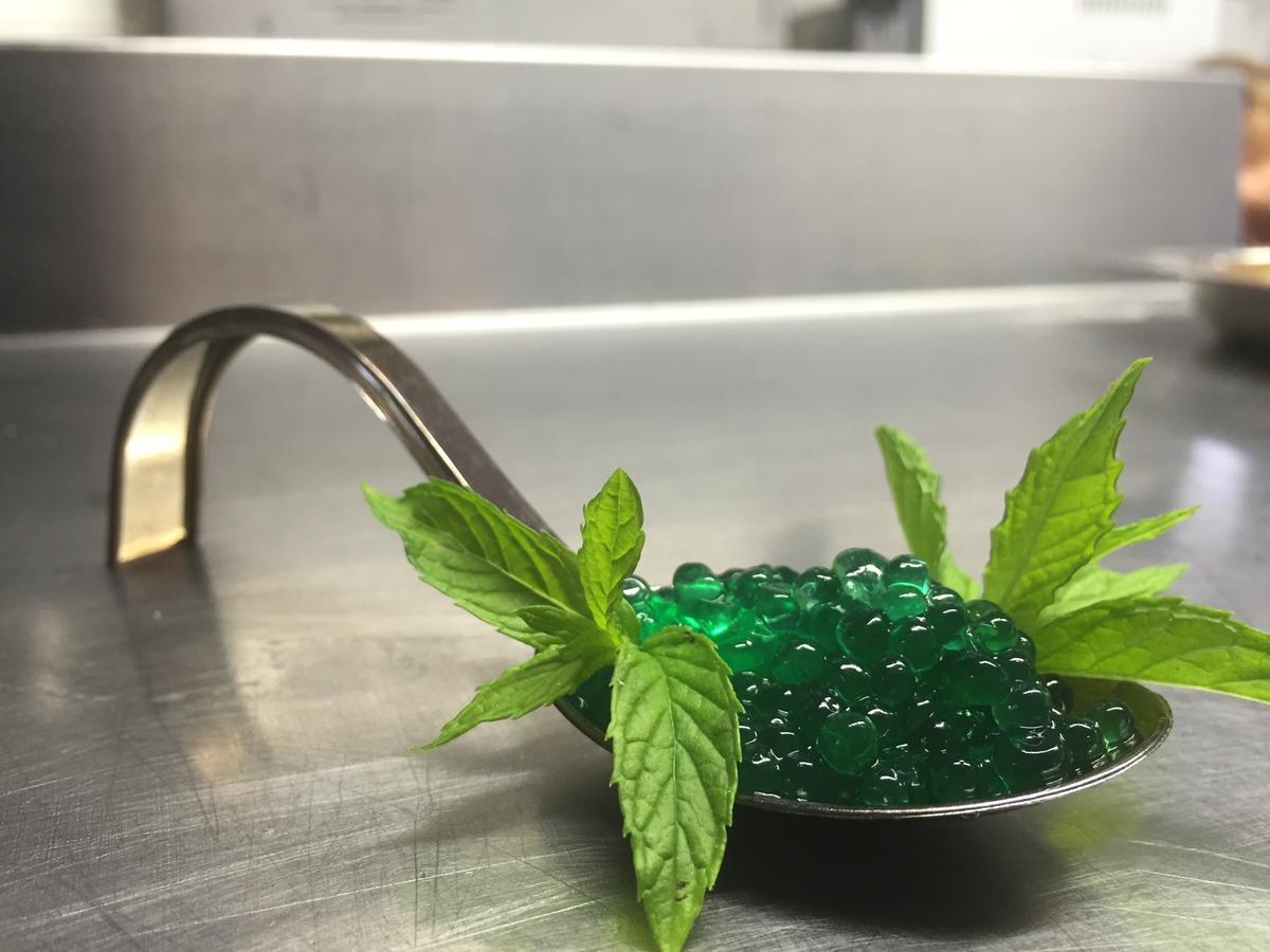 Hotel Le Pinete 皮亚扎托雷 外观 照片